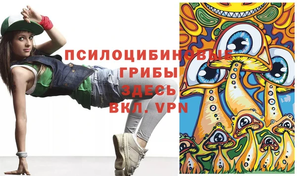 СК Осинники