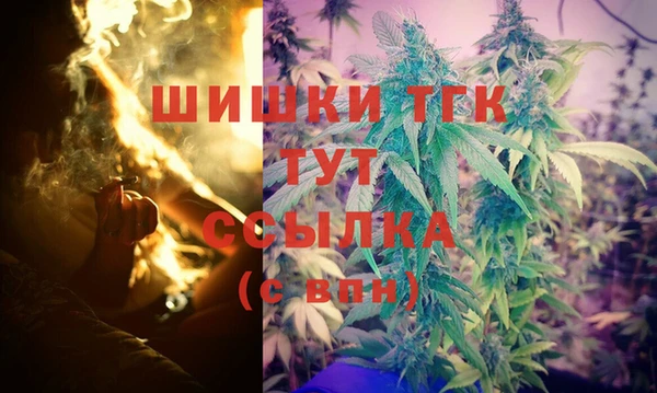 СК Осинники