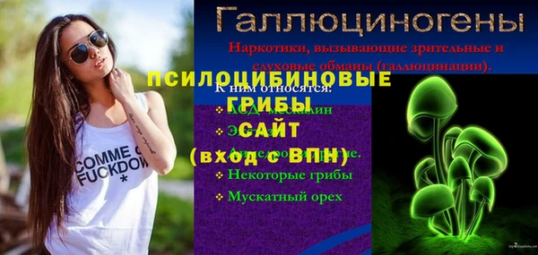 не бодяженный Осташков