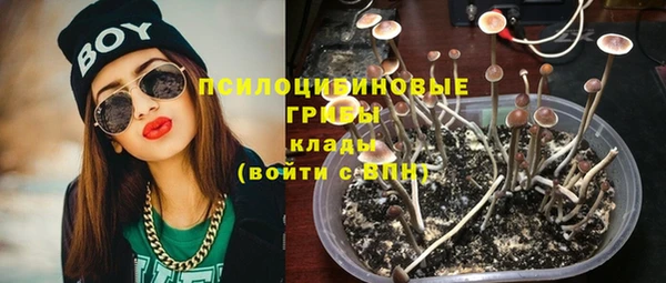 не бодяженный Осташков