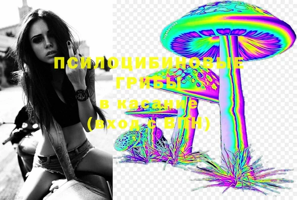 СК Осинники