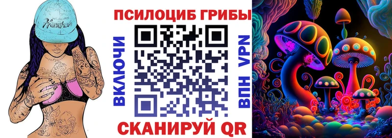 Псилоцибиновые грибы Psilocybe MEGA как зайти Рудня как найти