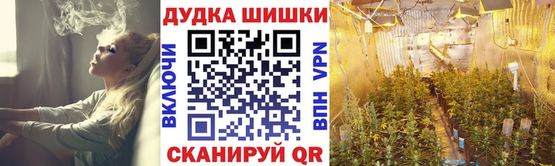 Каннабис индика  Рудня 
